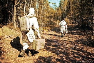 Illustration for article titled Gamers Play Fallout — In the Real World
